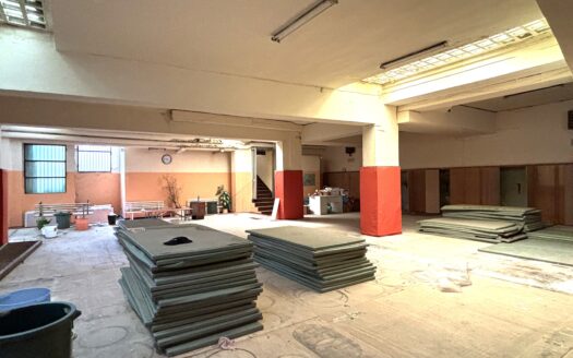 Locale Commerciale Via Sismondi