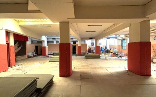 Locale Commerciale Via Sismondi