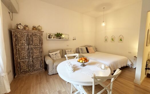 Monolocale Via Guinizelli