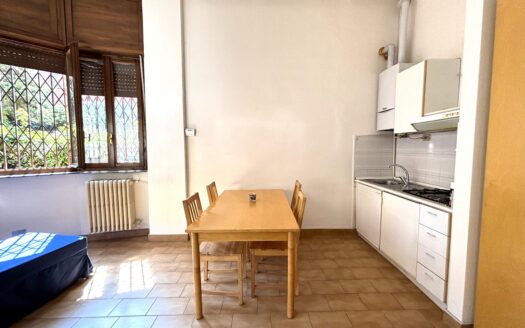 Monolocale Via Sismondi