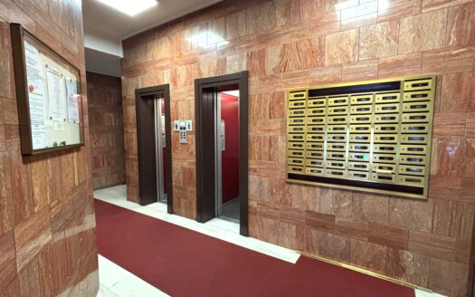 Monolocale Città Studi